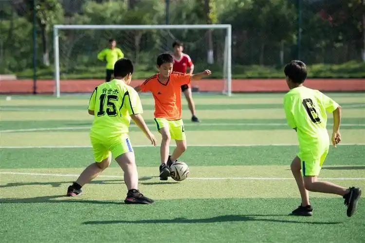 (体育)(6)小镇校园里的足球课
