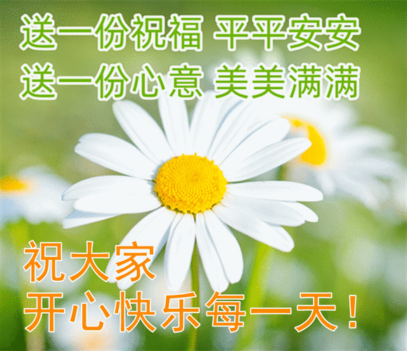 清晨慰问大家早上好图片全集好看的早上好表情包带祝福语