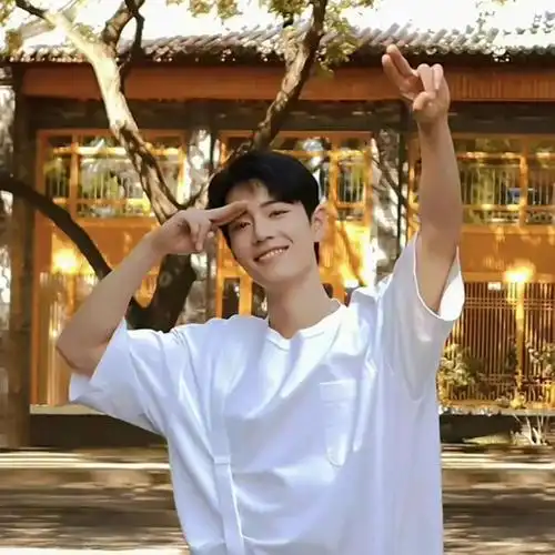 肖战最新微信头像_网易订阅