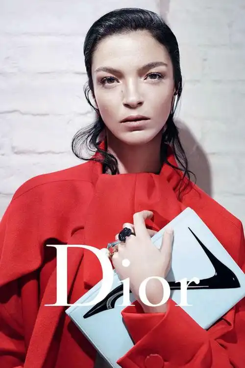 dior fall winter 2013 campaign
