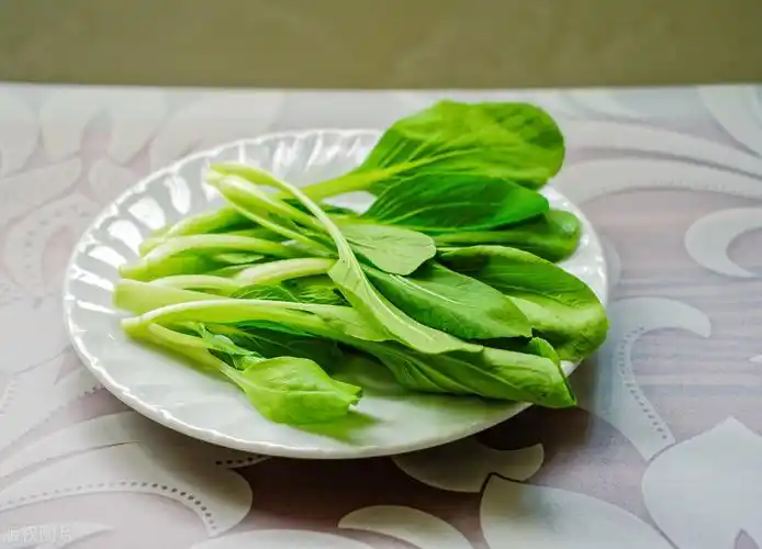 总的来说,深绿色的蔬菜,大都含有很多钙质.