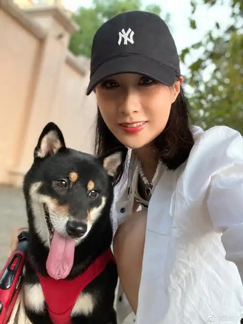 细水长流的爱情雷佳音娶了翟煦飞