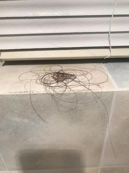 应该还有一些零散的掉地上被水冲走 之后吹头发