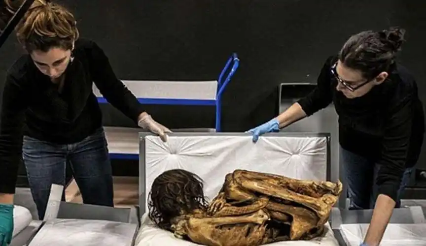 木乃伊包白布的原因是木乃伊为什么怕猫