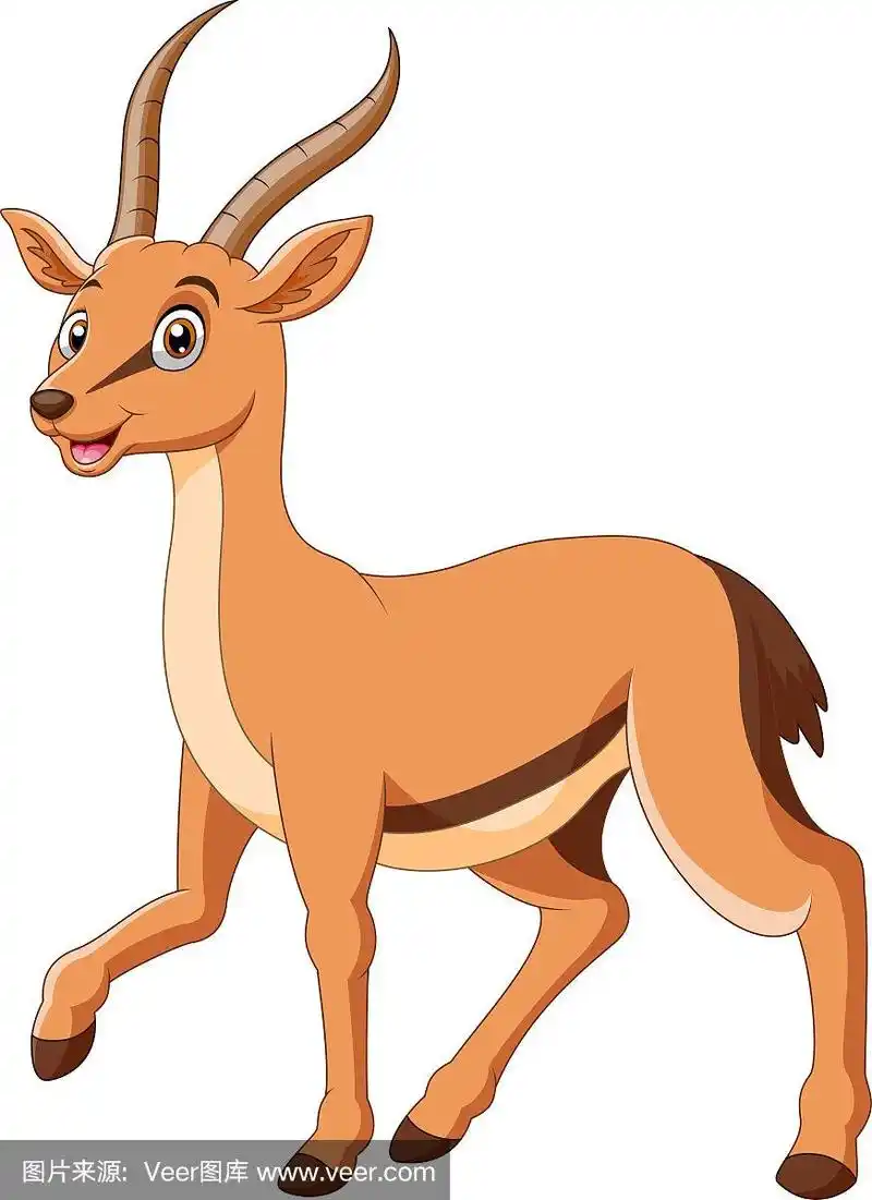 可爱的,卡通,瞪羚,运动,野生动物