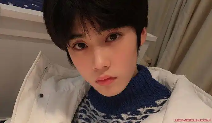 台风少年团姚景元是谁 高颜小哥哥因空降被质疑资料被揭