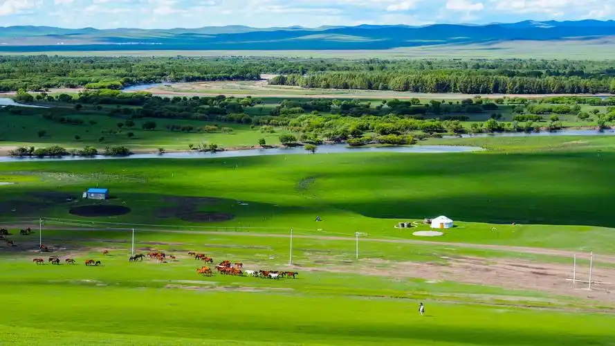 在一望无际的草原上放声歌唱就寻着草绿花香没有山峦峰翠的阻挡没有