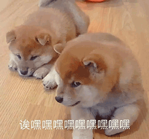 嘿嘿你一定是认错人了( kisskiss )乖巧)可以啵啵吗你要的神表情都在