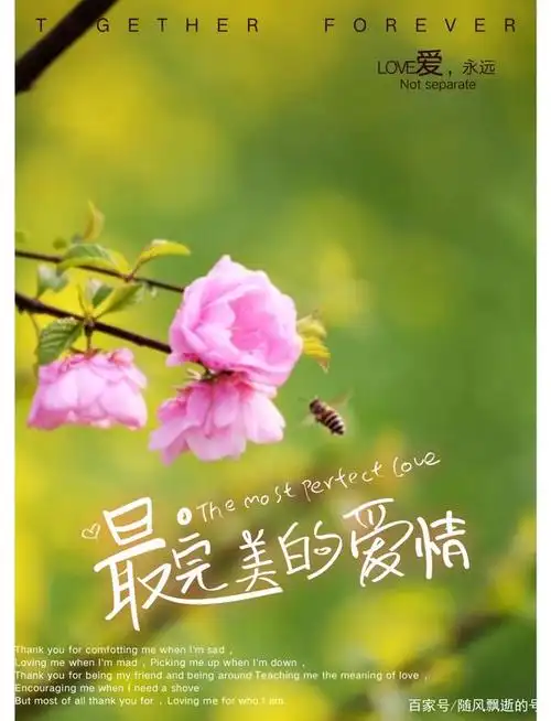 暖心小诗《遇见你真好!》