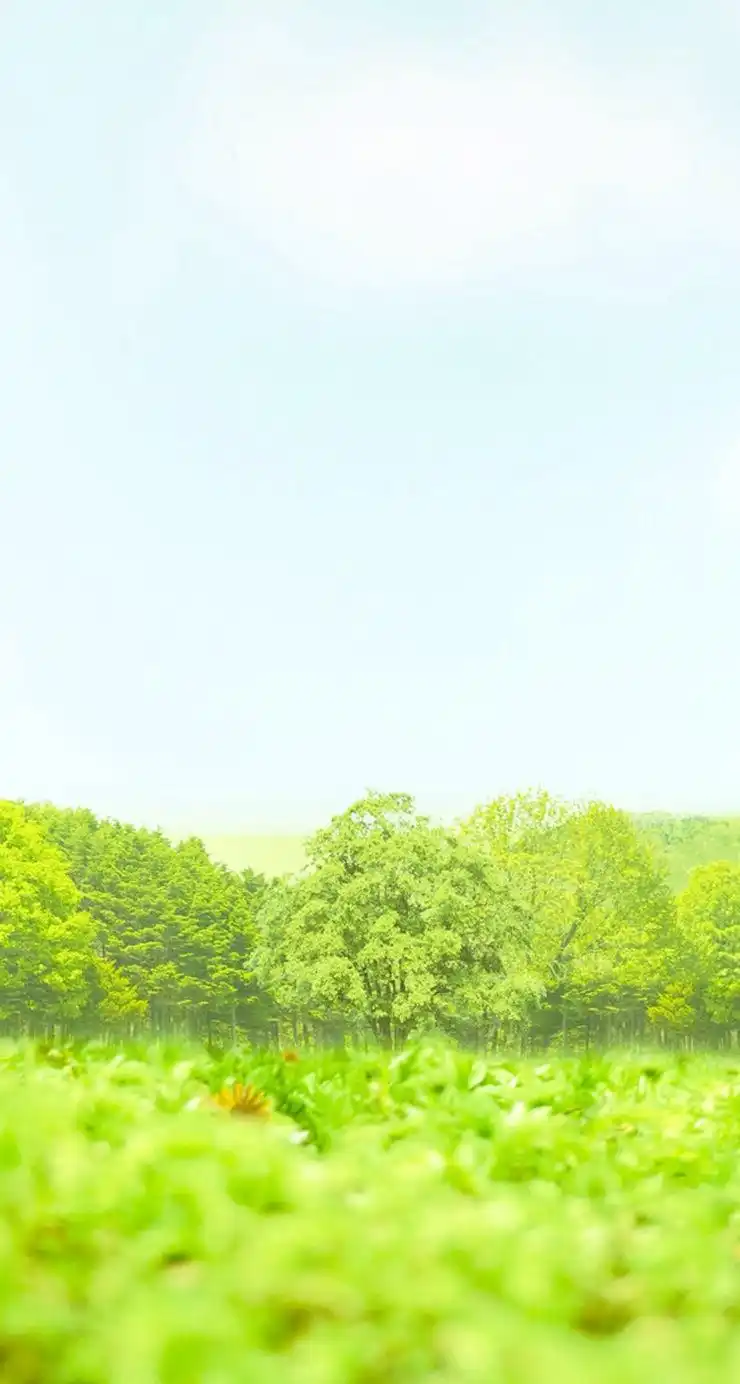 绿色养眼高清手机壁纸