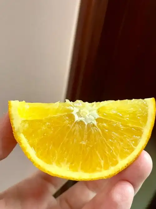 论切橙子的方法