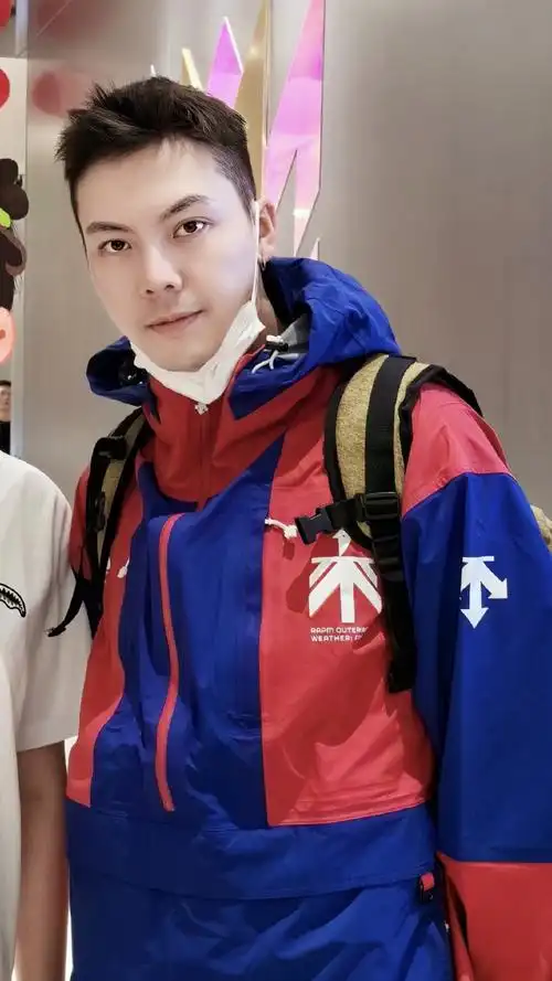 陈伟霆代言迪桑特