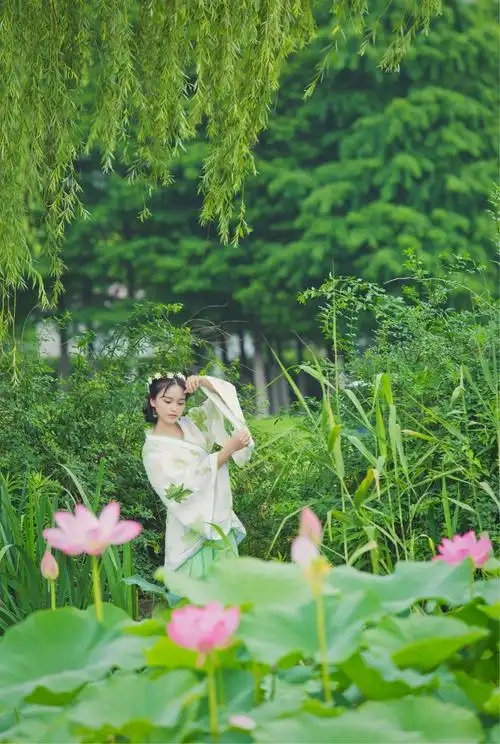 1199_1784竖版 竖屏