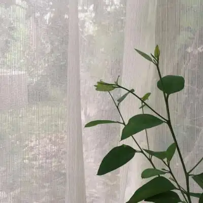 简约干净手机背景