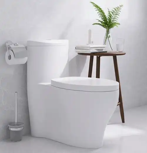 2024年3月,家用马桶十大品牌,好用实惠性价比高
