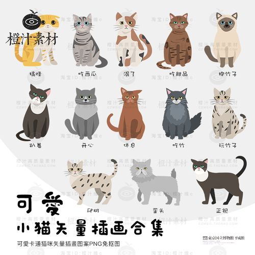 手绘卡通可爱小猫咪图案猫咪插画ai矢量设计素材手账png免抠图片