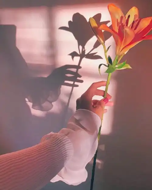 ins韩风 ins背景图 韩系背景图