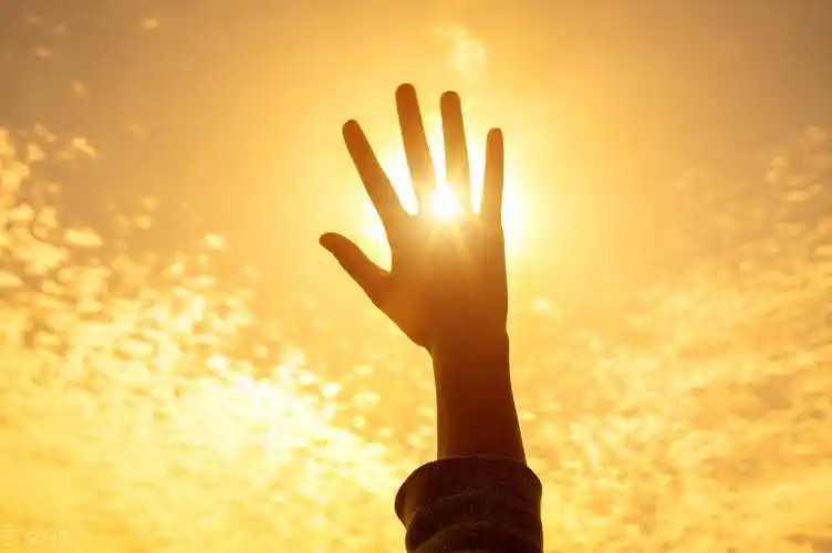 城市清晨的阳光唯美句子_晶羽科技