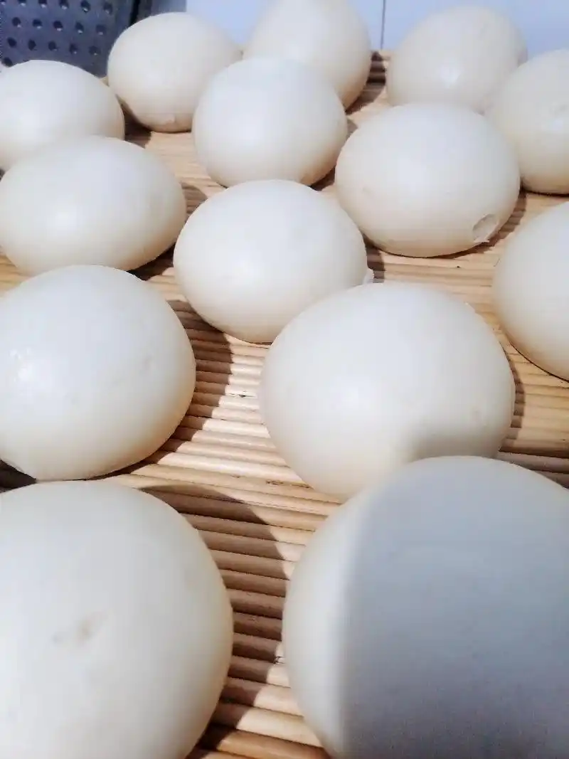 年的味道来了 #年年有鱼馒头 #手工馒头 #纯手工制作美食 - 抖音