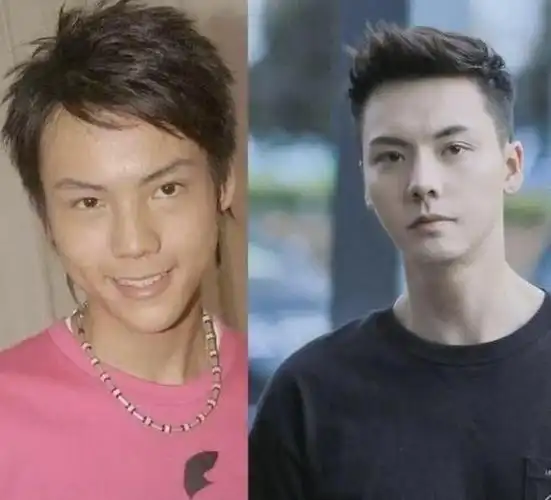 杨紫柳岩等明星频被爆负面传闻|男神|整容|陈伟霆|鞠婧祎|新恋情_网易