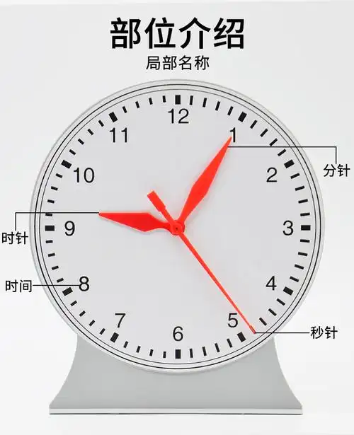 醉米钟表模型三针联动非联动12小时24小时制大号老师演示学生用