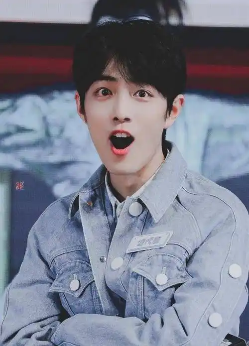 肖战撒娇卖萌集锦,你能坚持到第几张?_战战_什么_小宝宝