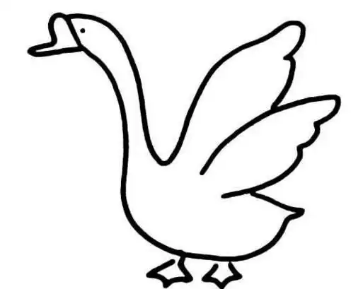 美丽的大白鹅简笔画天鹅