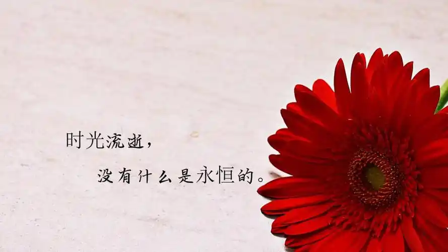 时光匆匆流逝的说说配图