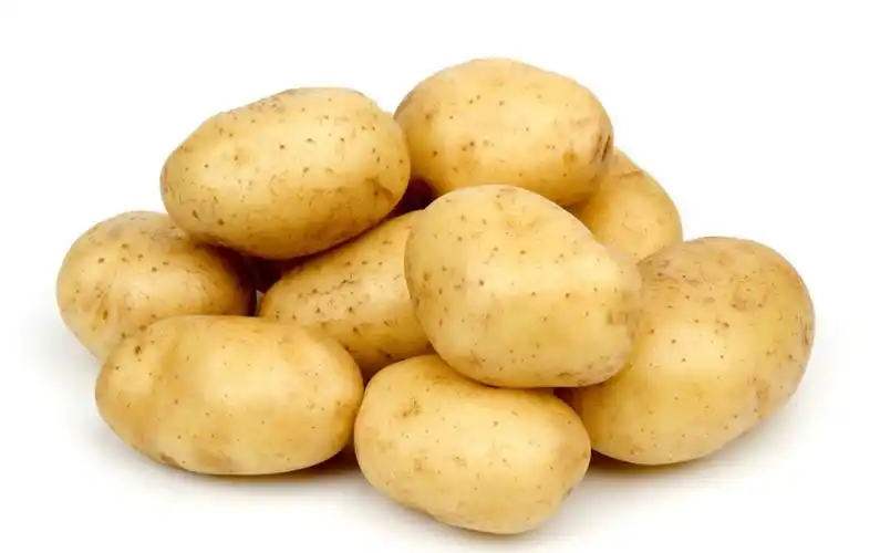 草莓价格_东港草莓_草莓品牌-草莓产业网