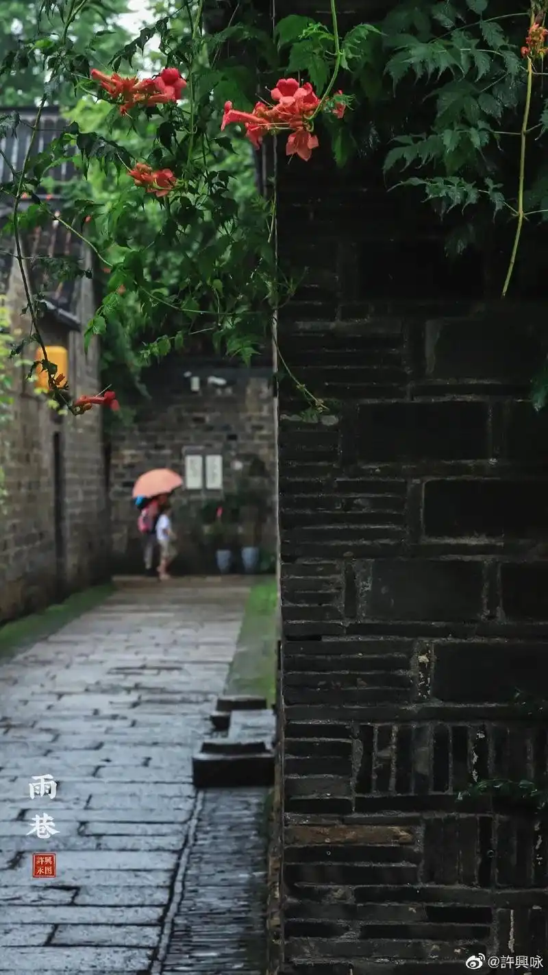 烟雨金陵迷离了谁的双眼