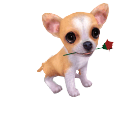 免抠音画素材精美动物大全素材