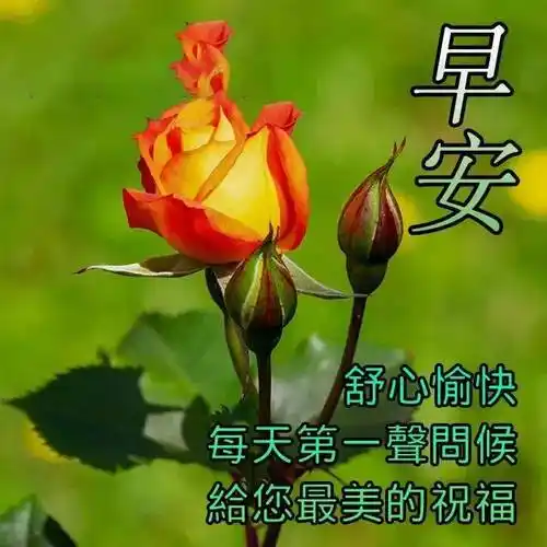 原创8张清新漂亮夏天早安早上好图片带字带祝福语免打字聊天的朋友圈