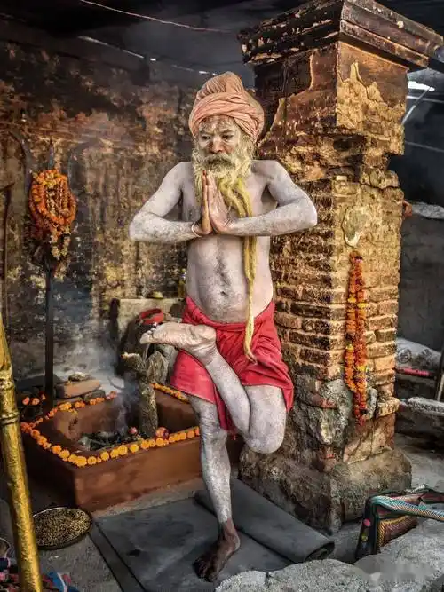 印度教万物有灵皆可膜拜