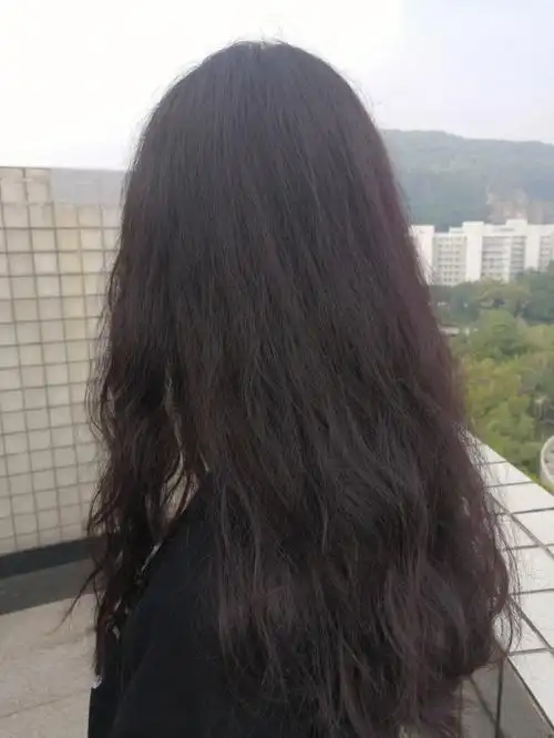 第一次染发献给黑紫色