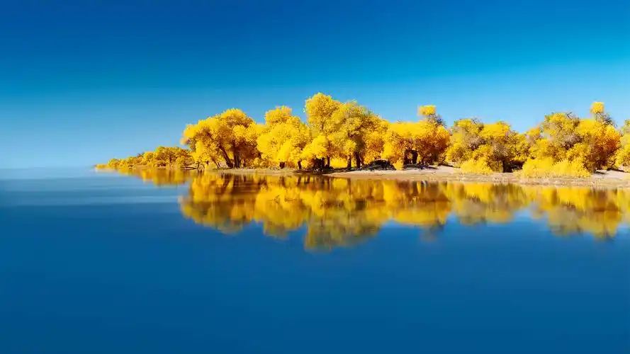 华为mate40秋天风景壁纸