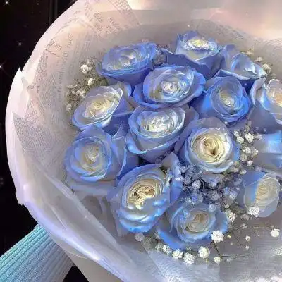 蓝玫瑰