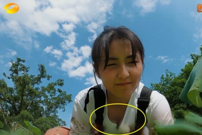 张子枫忘了水下镜头,弯腰一刻领子突然变大,导演紧急救场遮挡住