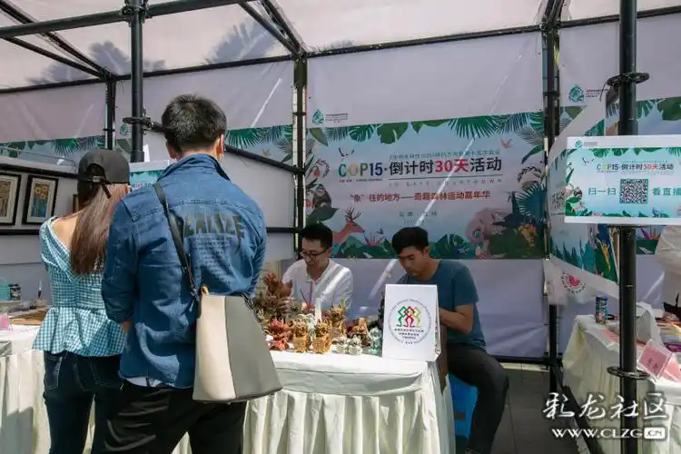 cop15·倒计时30天活动现场展位简介-彩龙社区