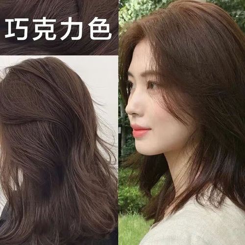 爱琳伊尔(ailinyier)盖白染发剂巧克力染发膏自己在家染网红发色潮流