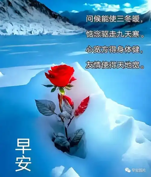 早安图片11月14日早安漂亮图片问候祝福语