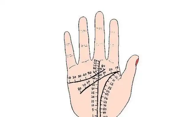 手相年龄段划分 手相年龄段划分图吉凶详解-卜安居