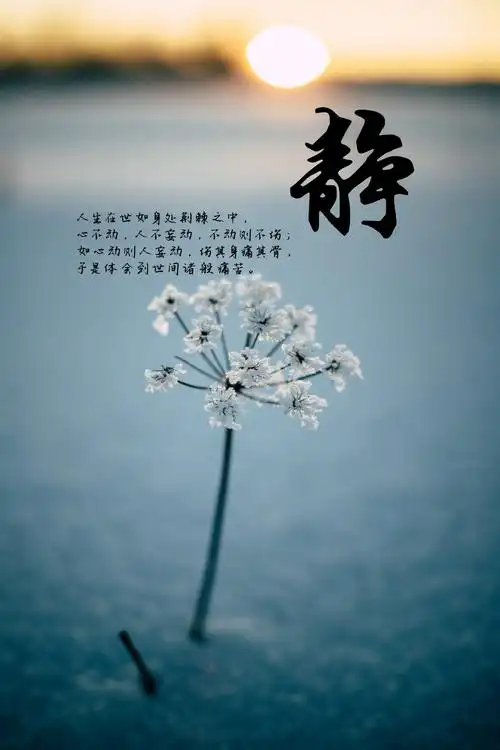 1200_1800竖版 竖屏