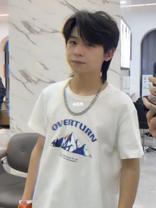 款气垫烫发型男生韩式发型男士气垫烫男士纹理烫男士钢夹烫适合脸型