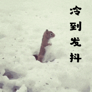 好冷的搞笑动图表情包(16图)