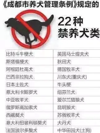 我是中国人,捍卫中华田园犬!