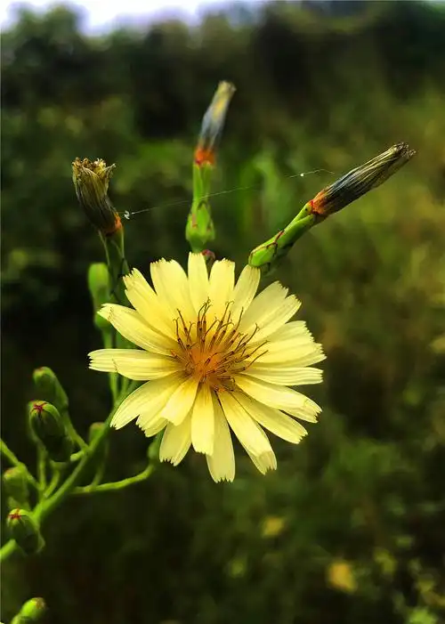 1000_1401竖版 竖屏