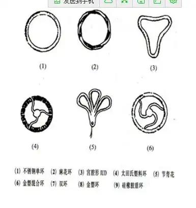 女人上的环有几种分别叫什么环