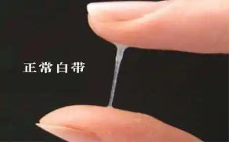 (图片来自网络)4,阴道出血排卵期间,体内雌激素水平暂时下降,子宫内膜