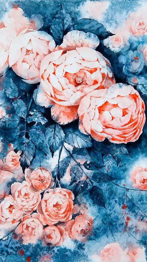 唯美手绘植物插画高清手机壁纸-创意-壁纸下载-美桌网