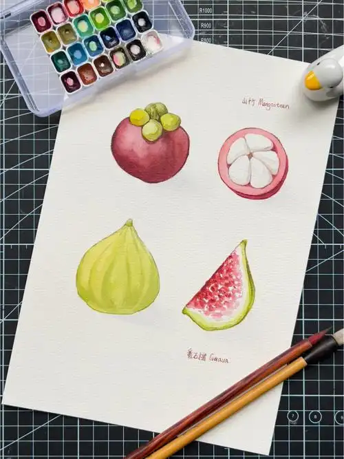 99999999这幅水彩画原作者是ins的韩国水彩画师yirang kim